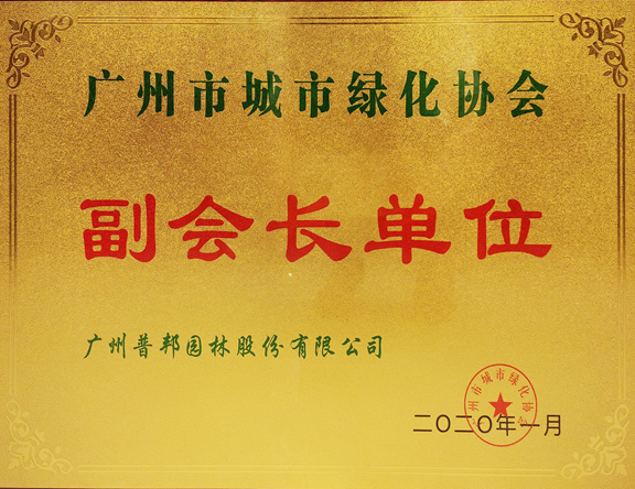 20200806103425081